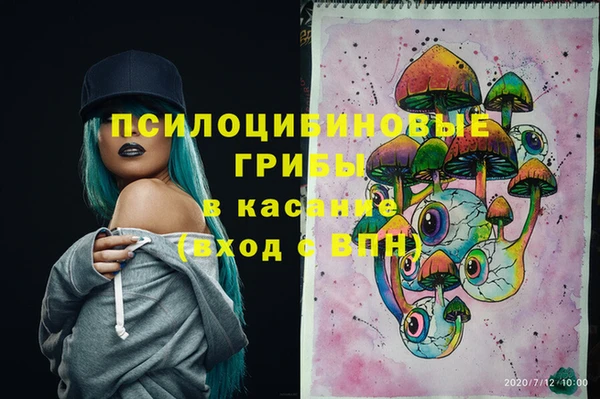 гидропоника Вязьма