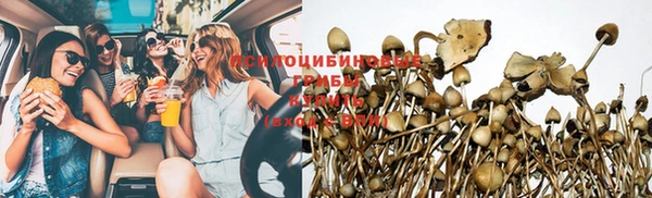 гидропоника Вязьма